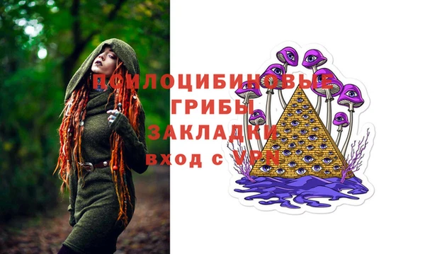 прущий лед Аркадак