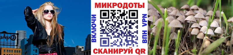 Галлюциногенные грибы ЛСД  гидра зеркало  Новоульяновск  где купить  